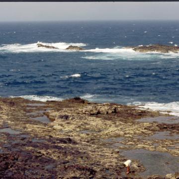 Fuerte 1983 2004