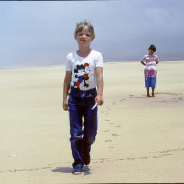 Fuerte 1983 2019