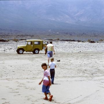 Fuerte 1983 2022