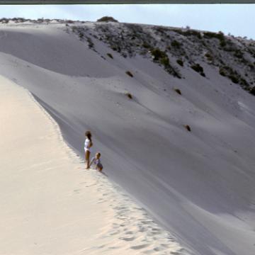 Fuerte 1983 2026