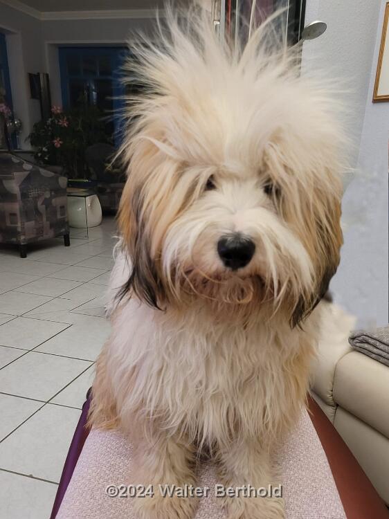 IMG-20210326-WA0014 2