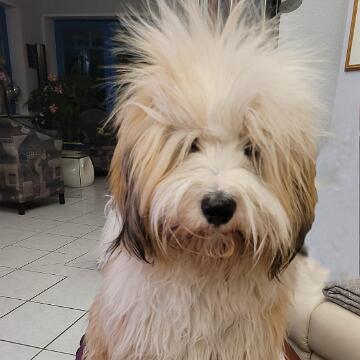 IMG-20210326-WA0014 2