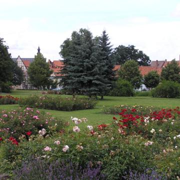 CabrioHarz 2007 226