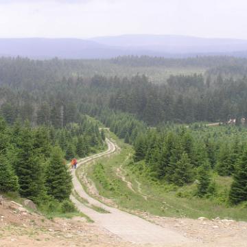 CabrioHarz 2007 271