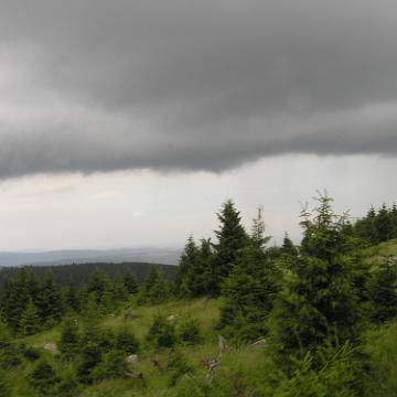 CabrioHarz 2007 274