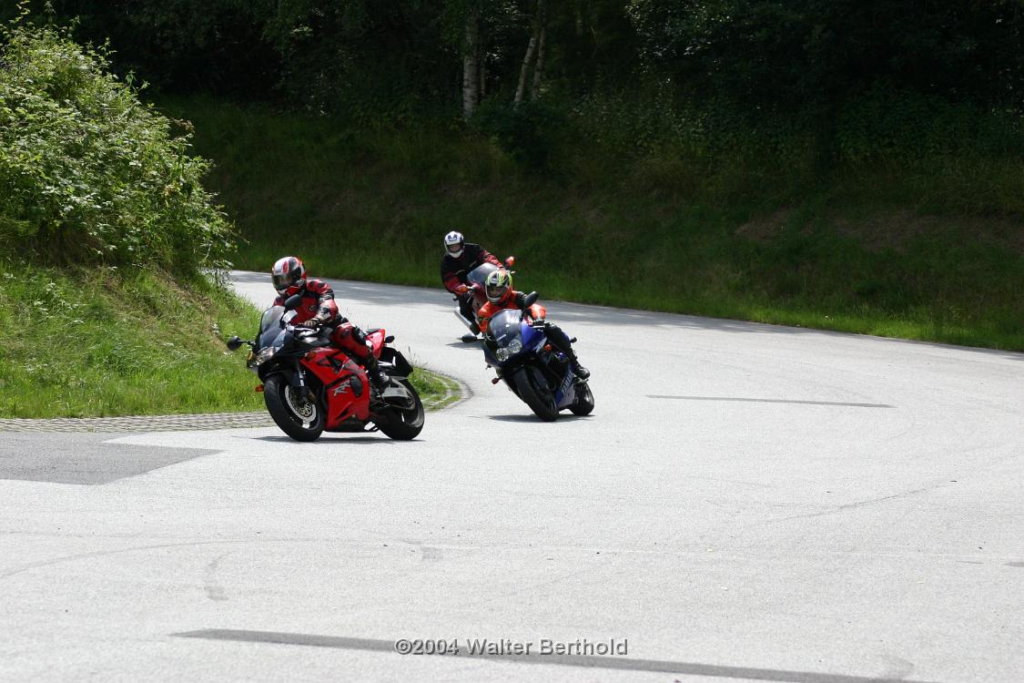 Heidbergring2004HW 114