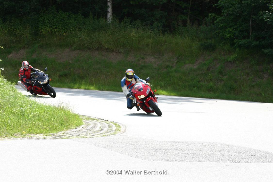 Heidbergring2004HW 419
