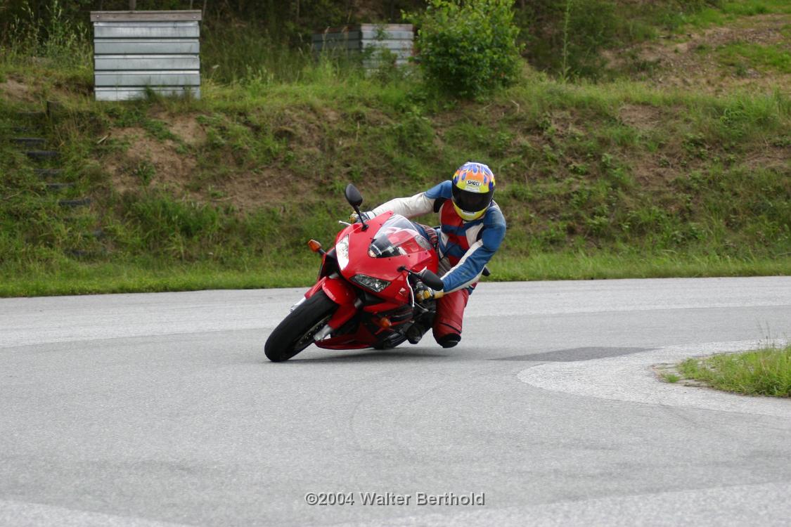 Heidbergring2004HW 461