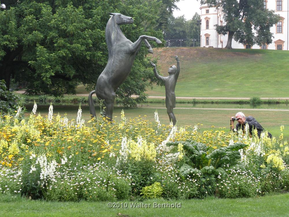 Celle 201036
