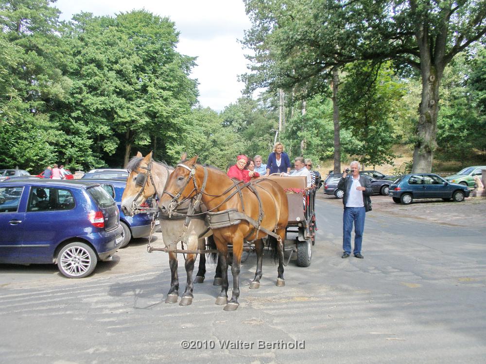 Heide Kutschfahrt 201020