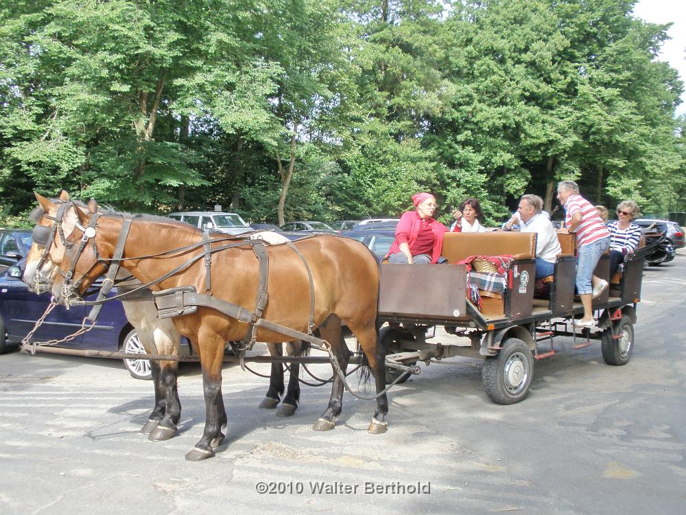 Heide Kutschfahrt 201021