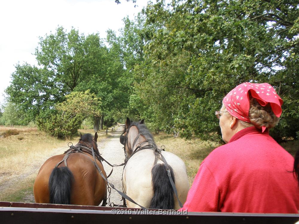 Heide Kutschfahrt 201022