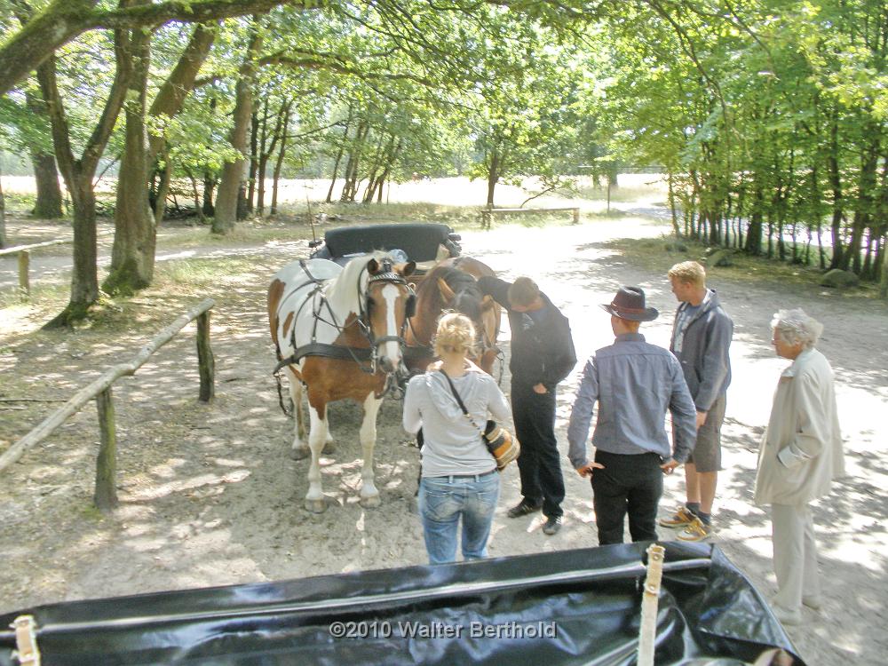Heide Kutschfahrt 201037