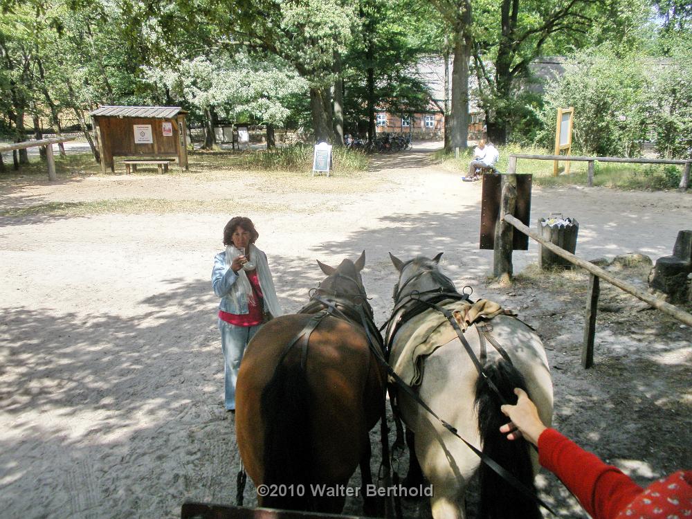 Heide Kutschfahrt 201038