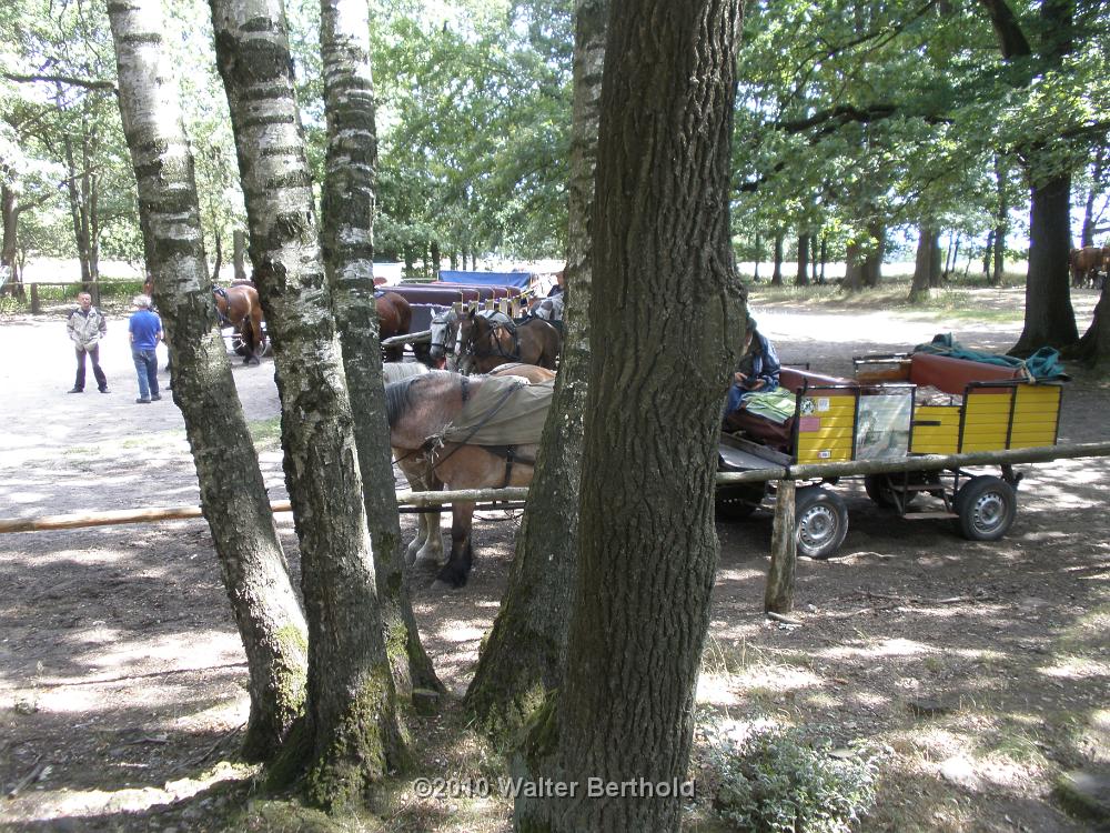 Heide Kutschfahrt 201039