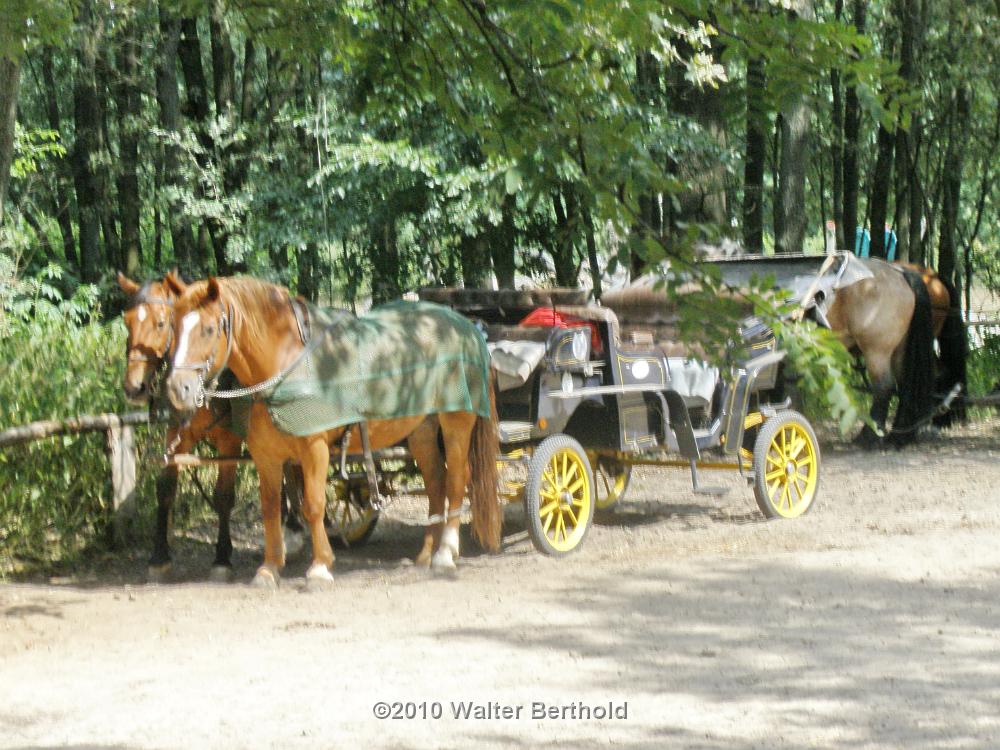 Heide Kutschfahrt 201041