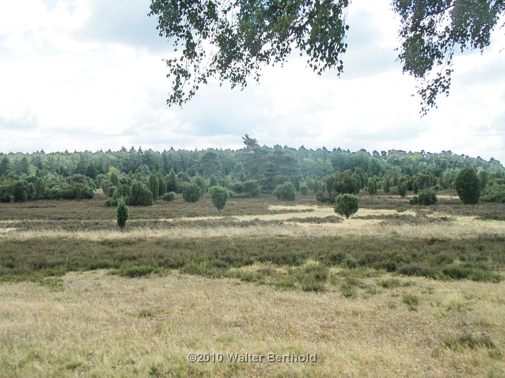 Heide Kutschfahrt 201045