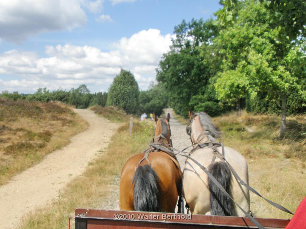 Heide Kutschfahrt 201046