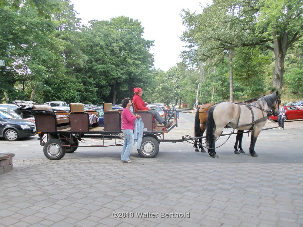 Heide Kutschfahrt 201047