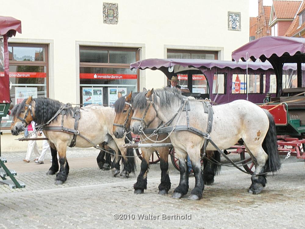 Lueneburg 201023