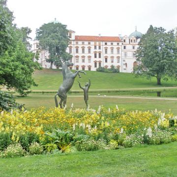 Celle 201033
