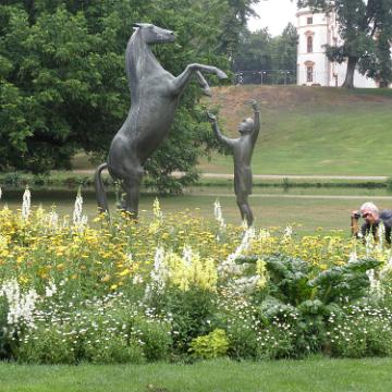 Celle 201036
