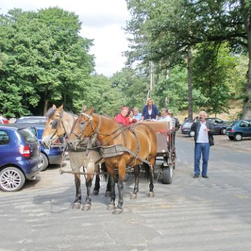 Heide Kutschfahrt 201020