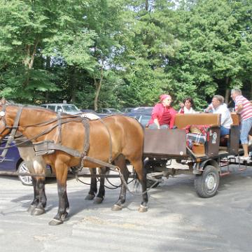 Heide Kutschfahrt 201021