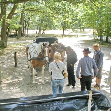 Heide Kutschfahrt 201037