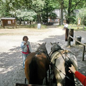 Heide Kutschfahrt 201038