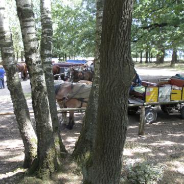 Heide Kutschfahrt 201039