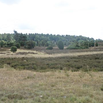 Heide Kutschfahrt 201043