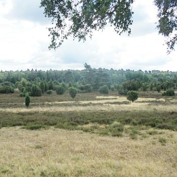 Heide Kutschfahrt 201045