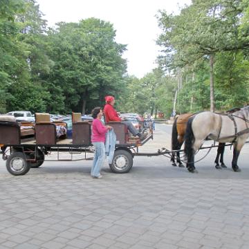 Heide Kutschfahrt 201047