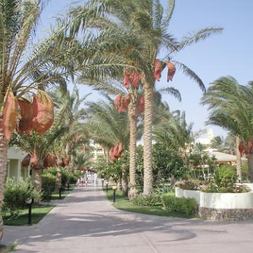 Ägypten 2010