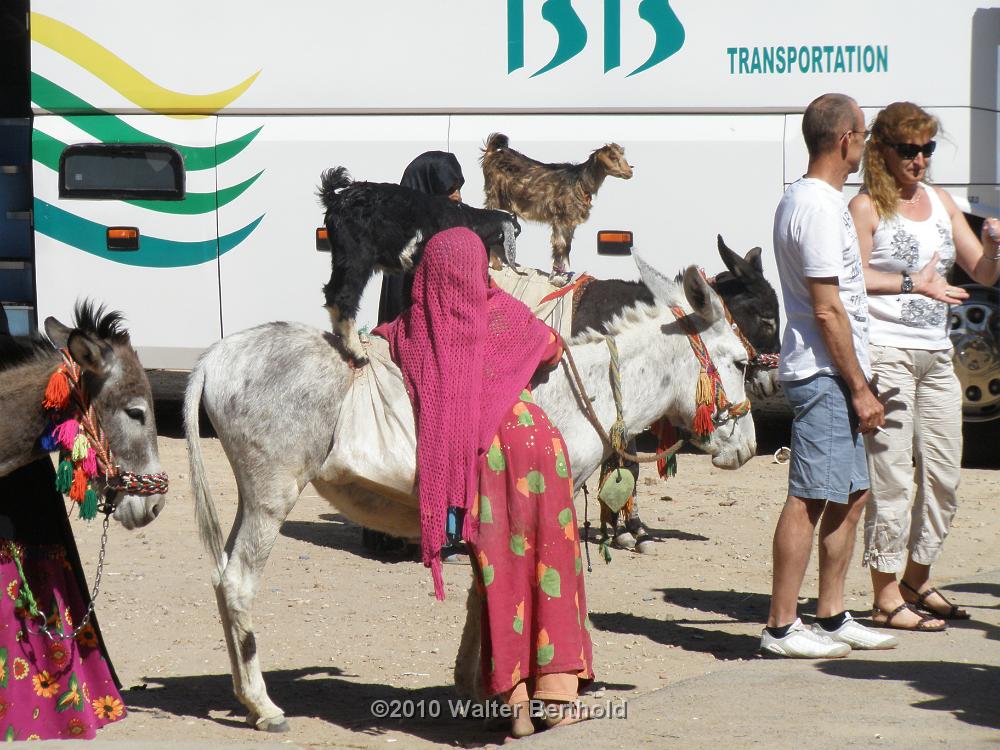Nach Hurghada 03