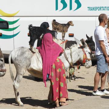Ägypten 2010