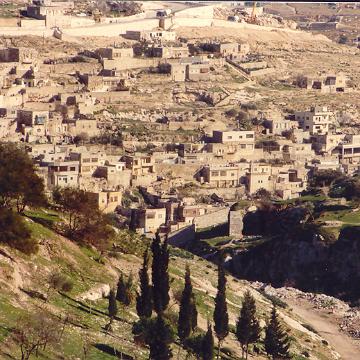 Israel101