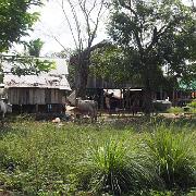 Kambodscha 2017 0344