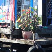 Kambodscha 2017 0458