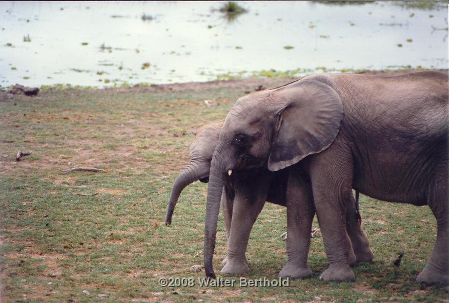 2008-04-27 19-29-31 0044