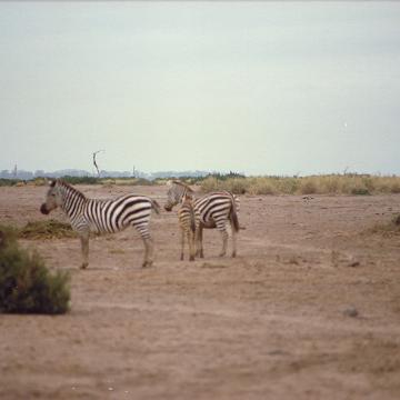 2008-04-27 19-16-19 0012