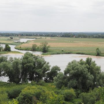 P6190103