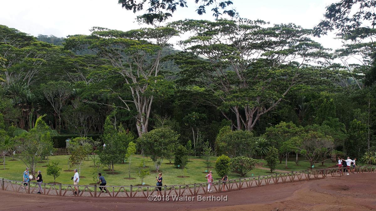 Mauritius 225