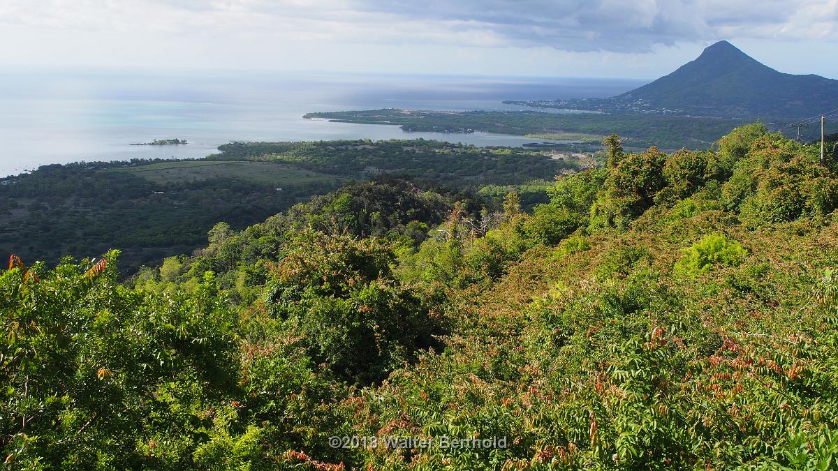 Mauritius 238