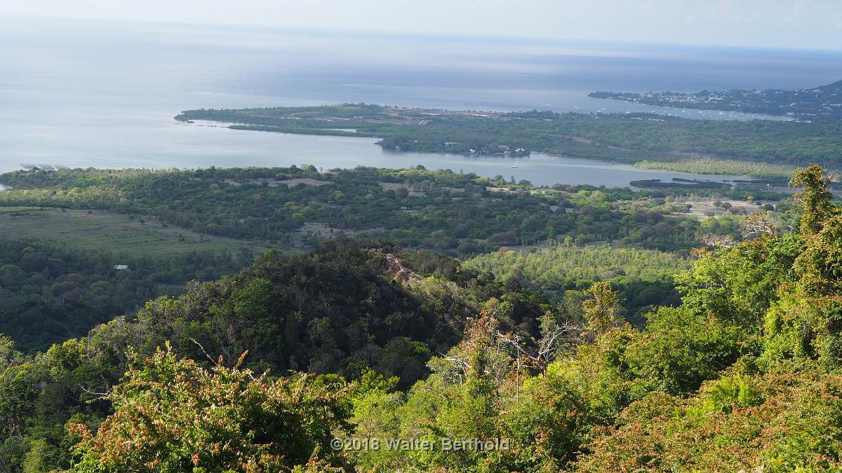 Mauritius 245