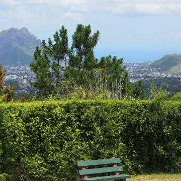 Mauritius 142