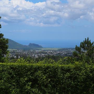 Mauritius 143
