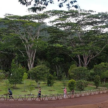 Mauritius 225