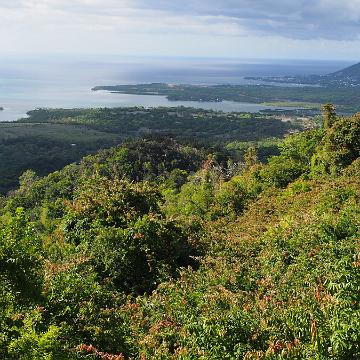 Mauritius 238